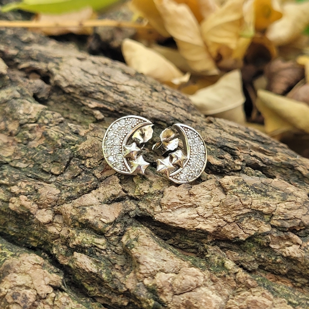 Silver Moon And Stars Ear Studs NWOT